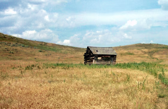HOMESTEAD DIAMOND